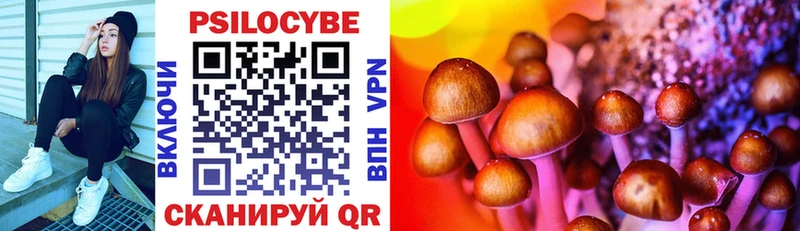 купить наркотик Кингисепп Псилоцибиновые грибы мухоморы